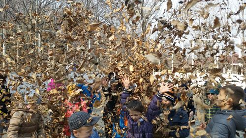 Остров Сокровищ